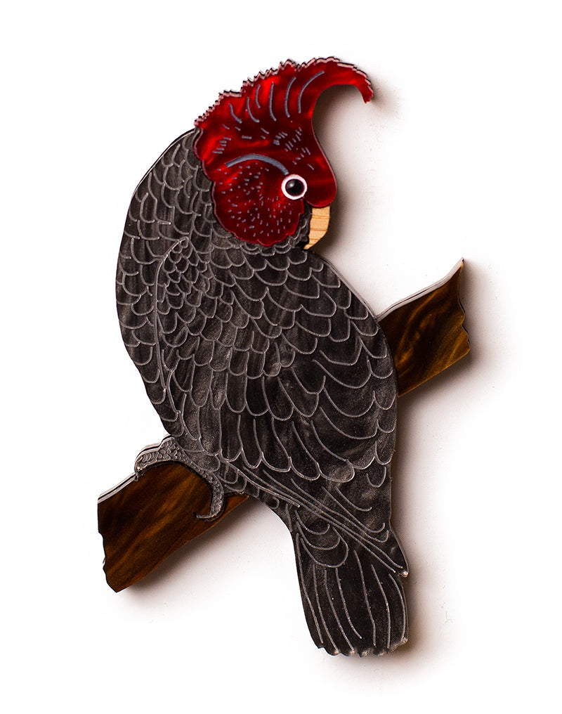 Gang Gang Cockatoo Brooch