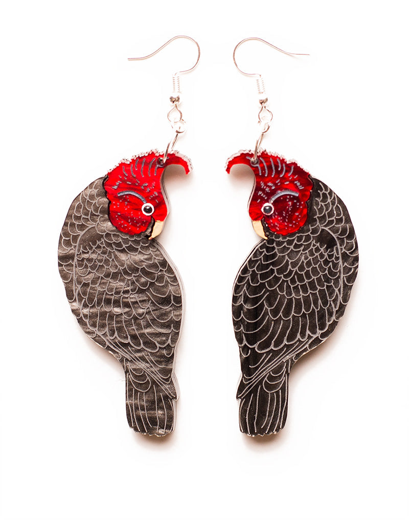 Gang Gang Cockatoo Acrylic Earrings